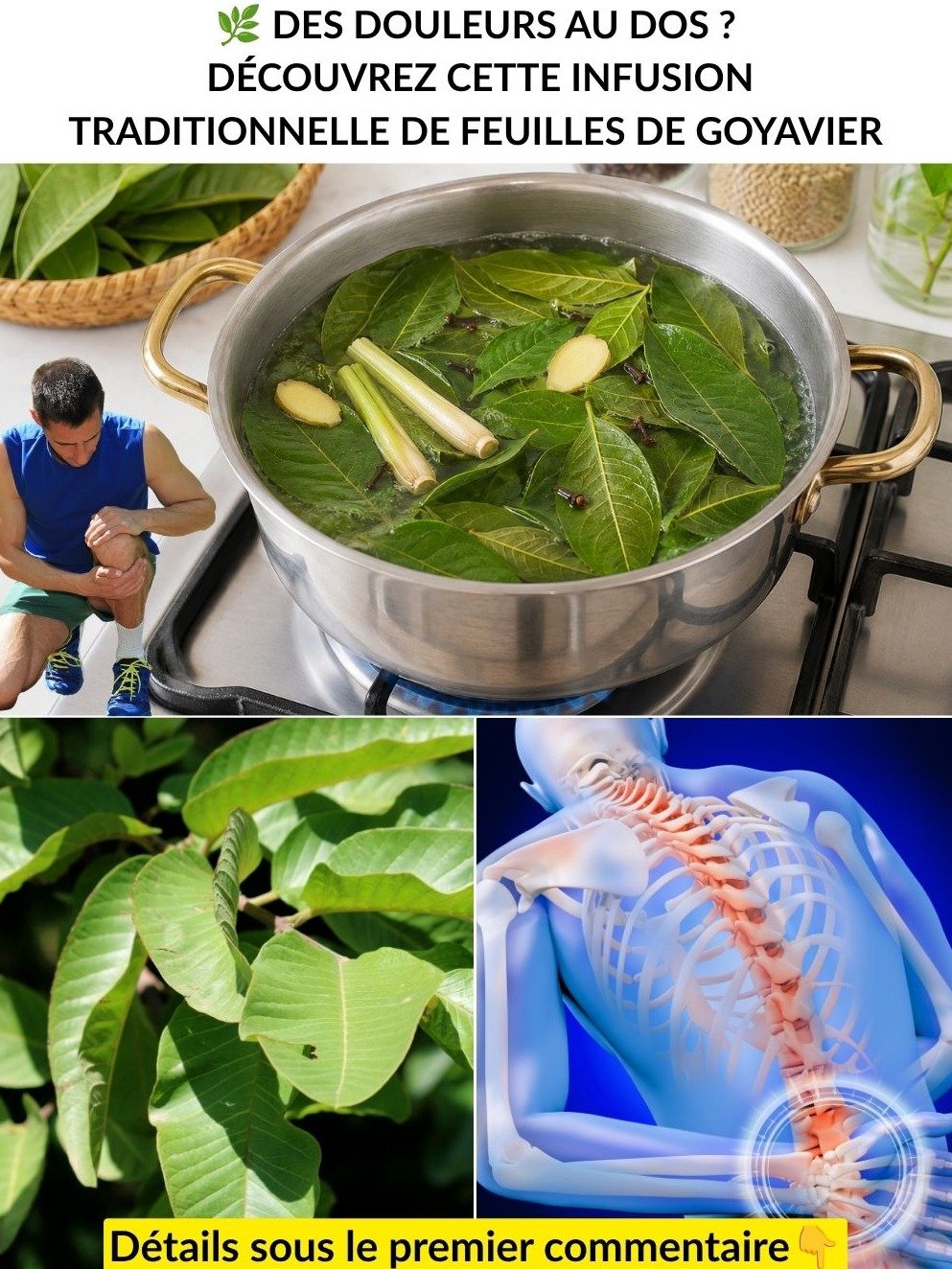 Le Secret Millénaire Révélé : 17 Bienfaits Surprenants du Thé aux Feuilles de Goyavier Que Vous Devez Connaître ABSOLUMENT !