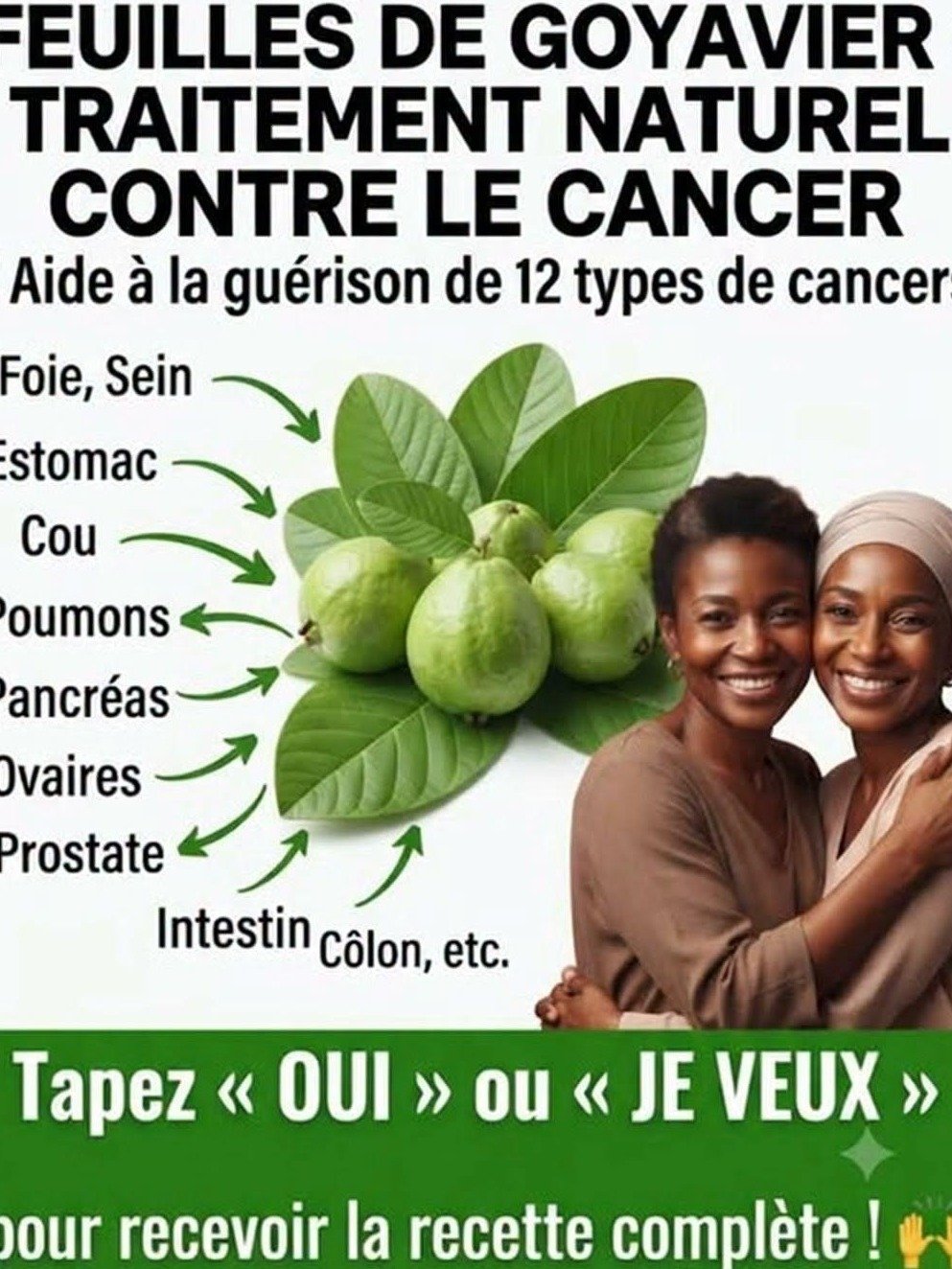 Le Secret Perdu d'une Santé de Fer : 5 Raisons Choc d'Intégrer le Thé de Feuilles de Goyave à Votre Quotidien (et Comment le Préparer Facilement)