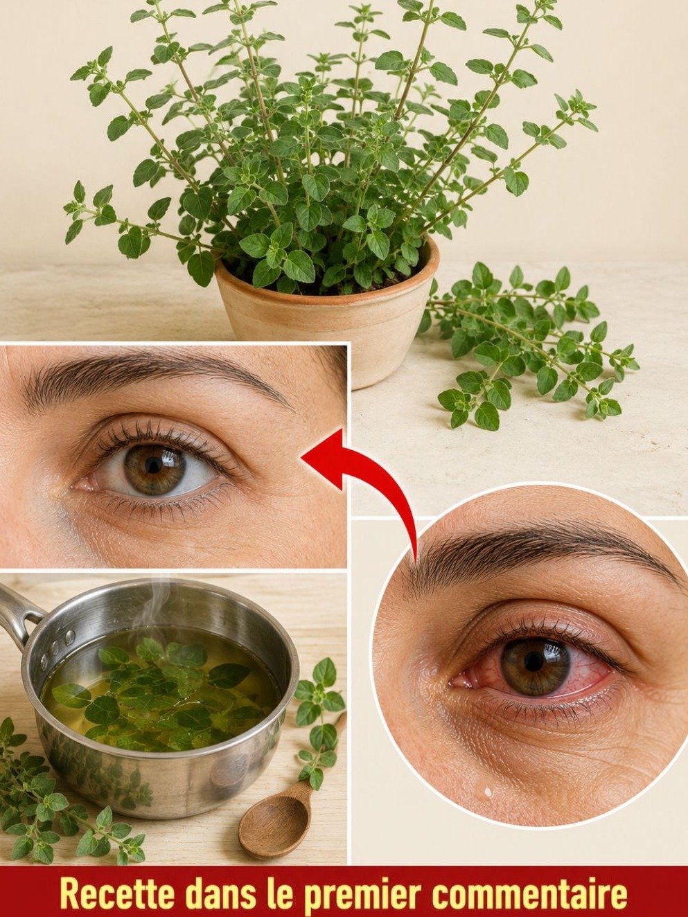Vision fatiguée ? L'origan pourrait être votre allié secret (3 recettes naturelles à tester)