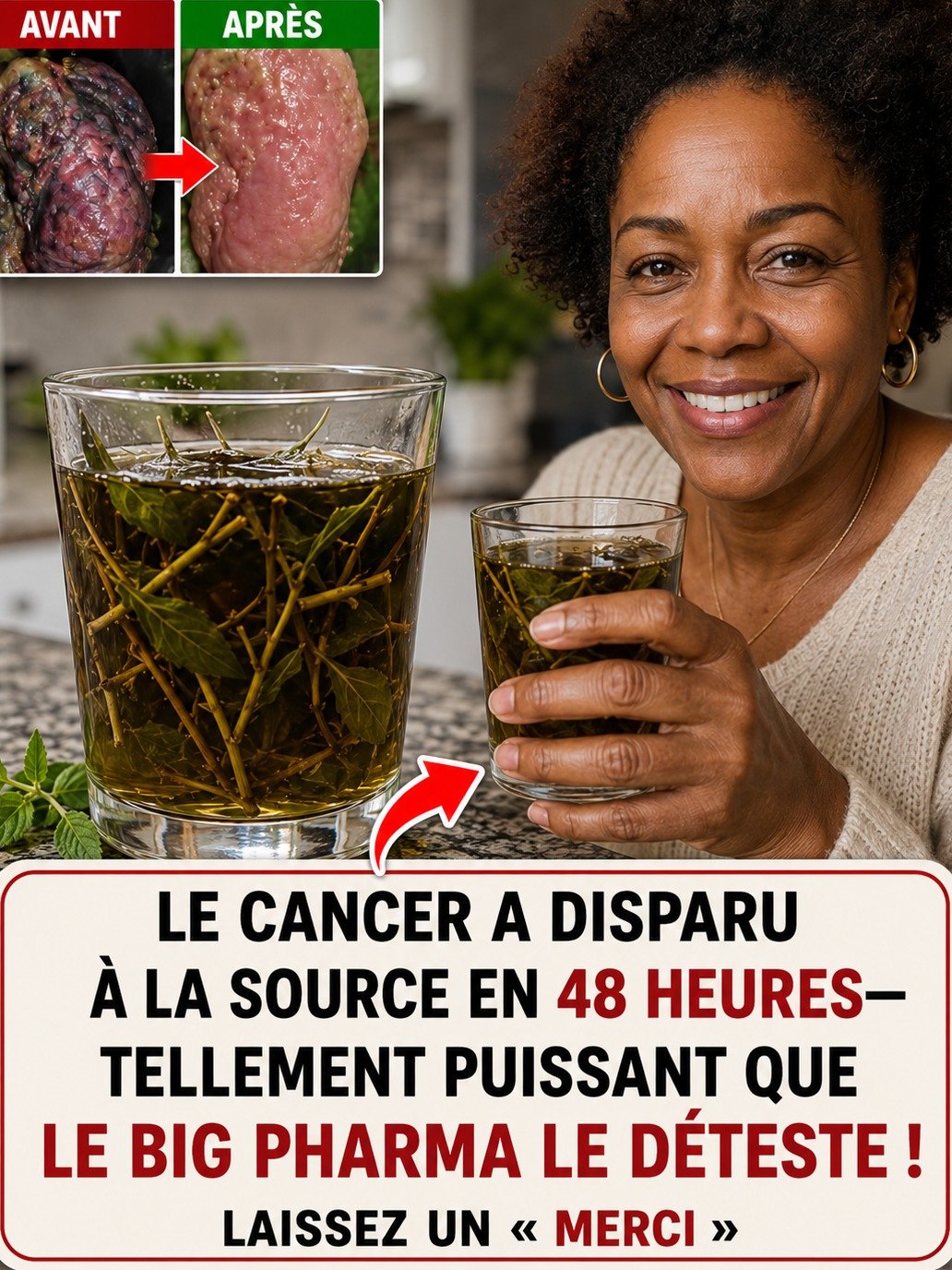 Cette racine que vous jetez pourrait sauver vos cellules — le secret que 99% des gens ignorent