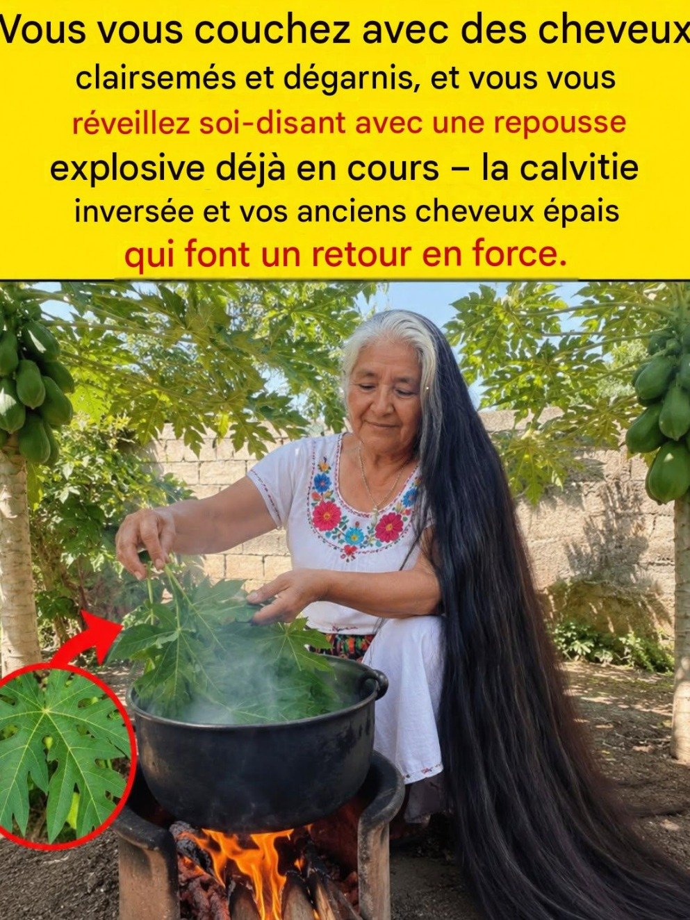 Feuilles de papaye : Le secret ancestral que l’industrie capillaire vous cache pour stopper la chute des cheveux à la racine