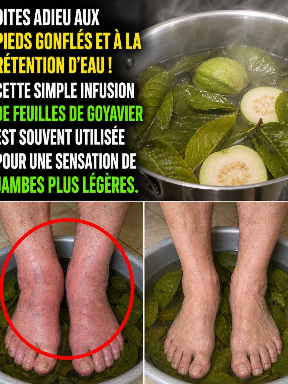 Le secret naturel pour stopper vos pics de glycémie : Pourquoi le thé de feuilles de goyavier change tout