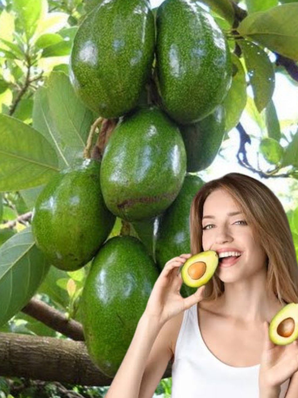 L'Avocat: Le Super-Aliment à Double Tranchant? Découvrez les 5 Dangers Cachés (et Comment en Profiter SANS Risque!)