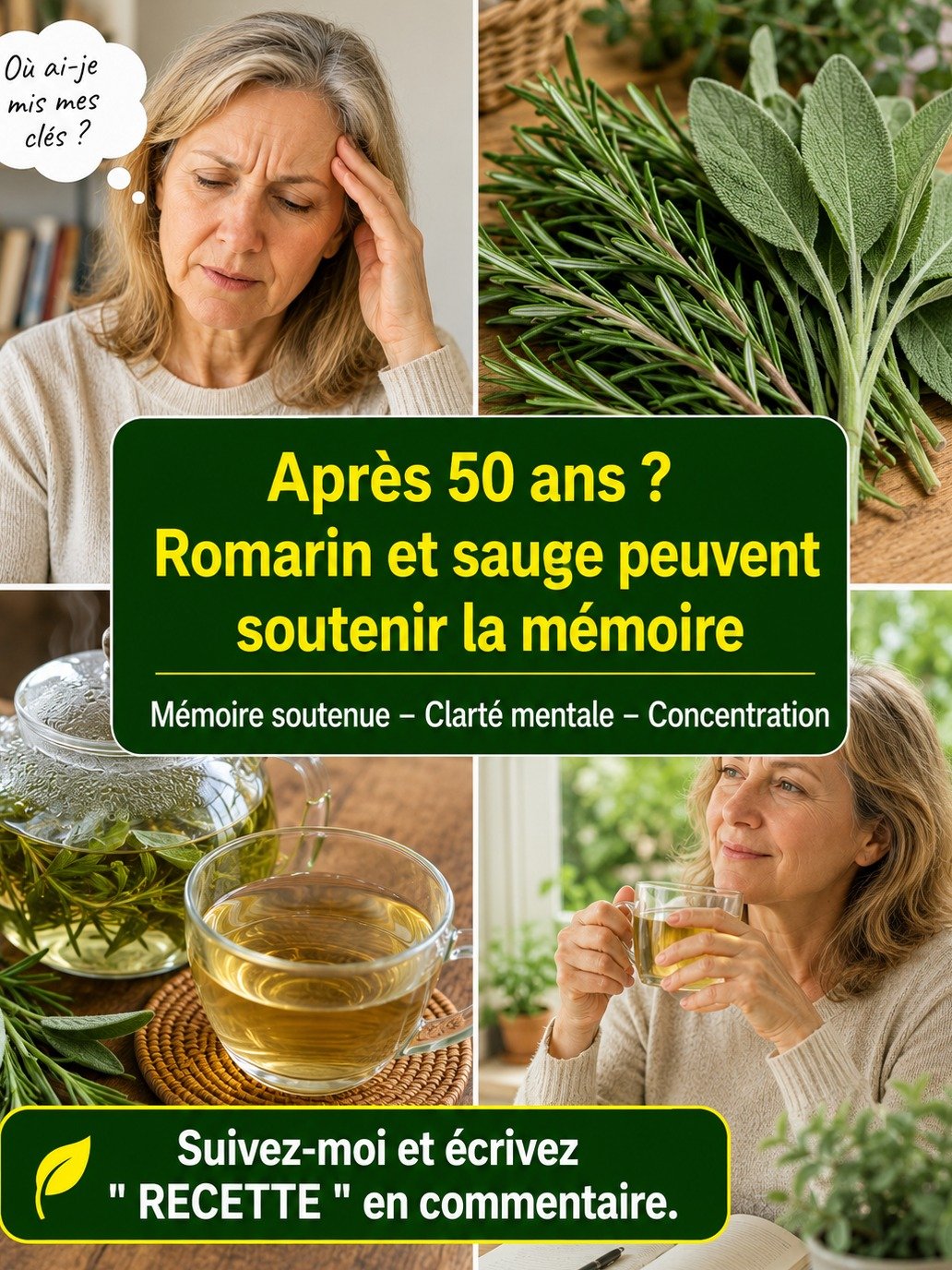 Votre Cerveau Ralentit Après 50 Ans ? 2 Herbes Puissantes Révélées pour une Mémoire et une Concentration Inégalées !