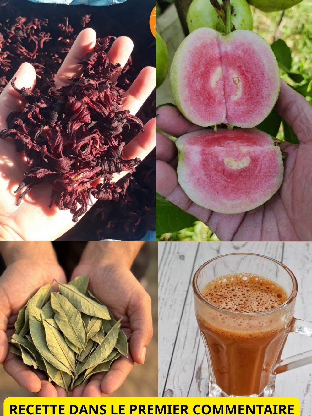 Le Secret Oublié des Anciens : Cette Infusion Miraculeuse à 3 Plantes Va Révolutionner Votre Énergie !