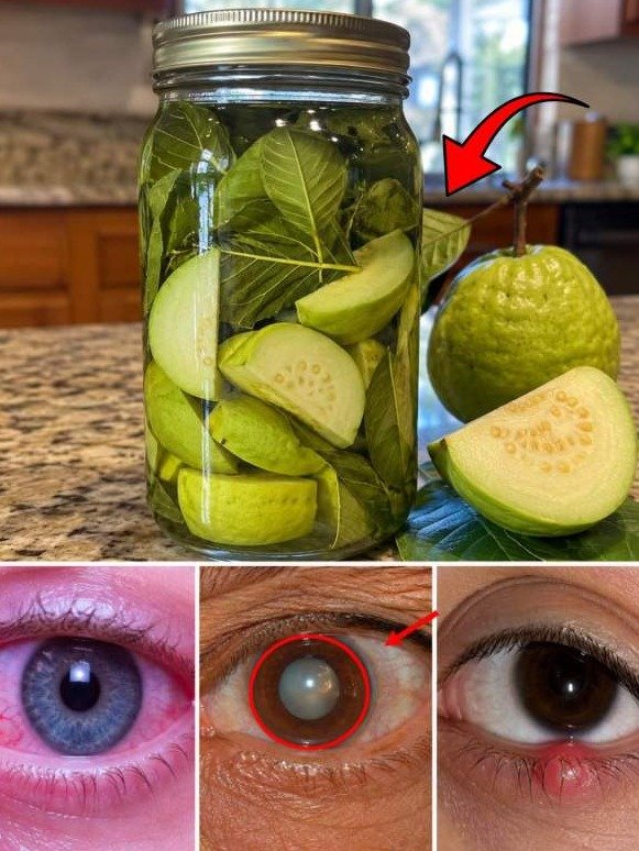 Le secret naturel insoupçonné des feuilles de goyave pour revitaliser votre regard instantanément
