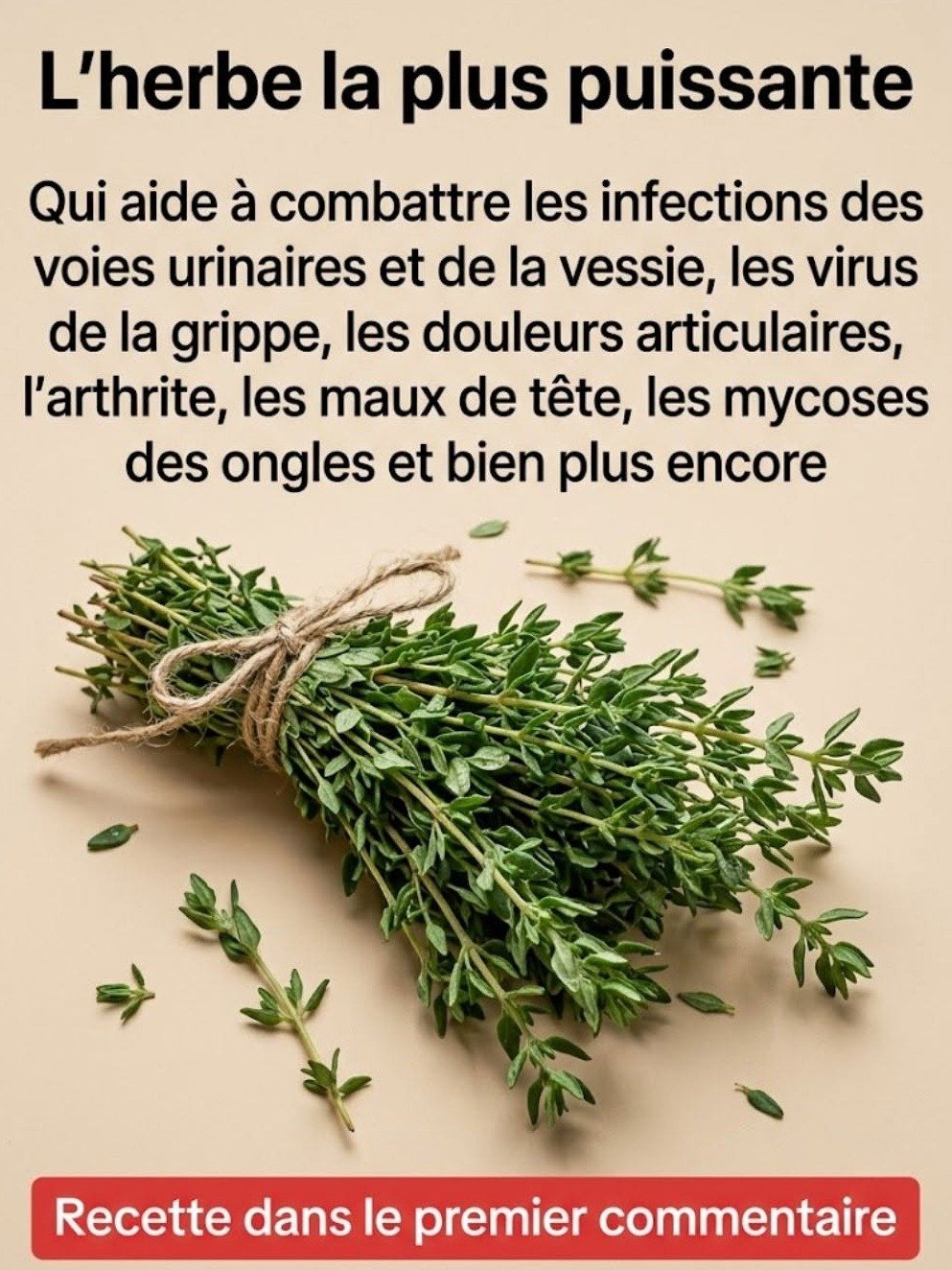 Le Secret Oublié du Thym : 7 Pouvoirs Étonnants Qui Vont Révolutionner Votre Santé Quotidienne !