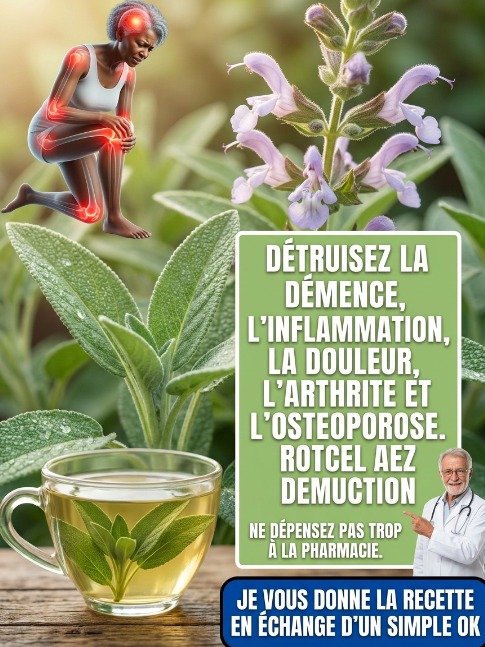 Le Secret Millénaire de la Sauge : Découvrez Comment Cette Plante Incroyable Pourrait Transformer Votre Santé (Recettes Incontournables Incluses !)