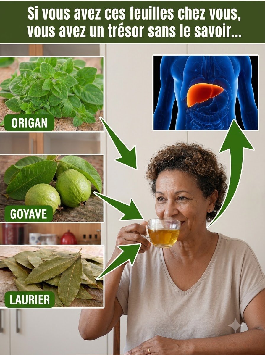 Le Secret Bien Gardé pour un Foie Purifié et une Tension Parfaite : Cette Infusion à 3 Ingrédients Va Révolutionner Votre Santé !