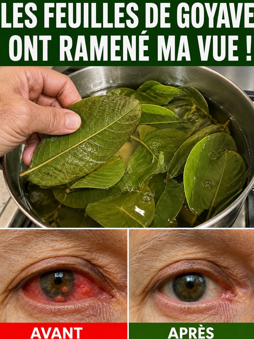 Le Secret Naturel à 1€ pour des Yeux Neufs : Oubliez la Fatigue, les Feuilles de Goyavier Vont Révolutionner Votre Quotidien !