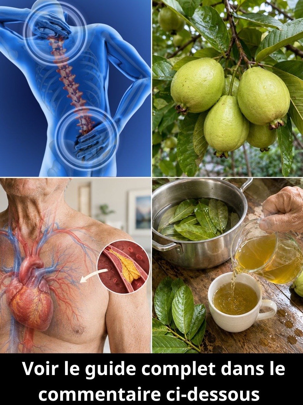 Le secret ancestral du goyavier : Pourquoi cette tisane oubliée cartonne pour votre bien-être !
