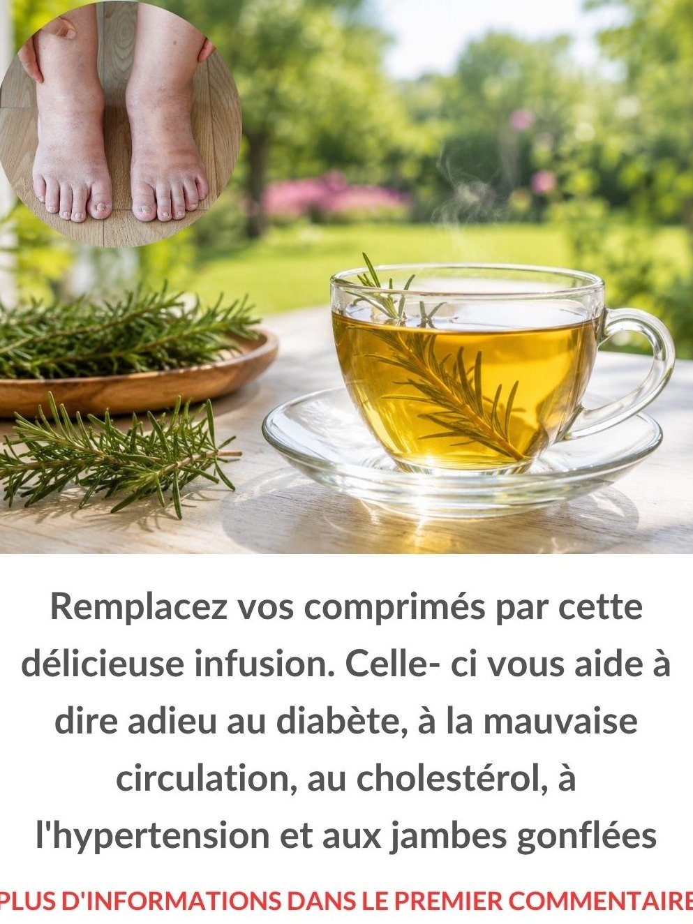 Arrêtez Tout ! L'Infusion de Romarin : Le Rituel Simple et Naturel Qui Va Révolutionner Votre Bien-Être Quotidien (Ne Manquez Pas Ça !)