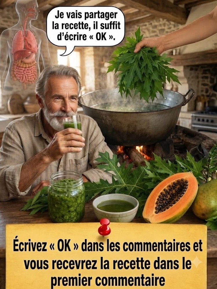 Le Secret Oublié : Ces 7 Bienfaits Époustouflants des Feuilles de Papaye Vont Révolutionner Votre Santé (Et Comment les Préparer Facilement !) 🌿