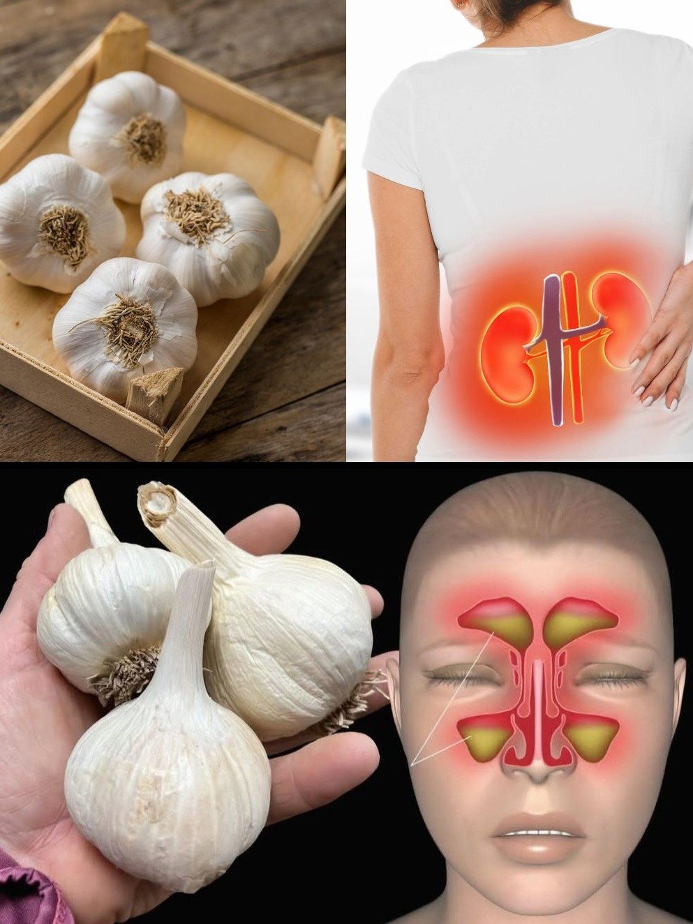 Le Secret Méconnu de l'Ail : 2 Recettes Maison Qui Peuvent Transformer Vos Sinus et Reins ! Ne Manquez Pas Ça !