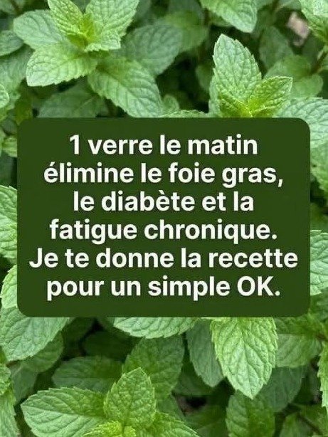 Le Secret Oublié de Grand-Mère : Buvez CE Mélange de Menthe et Citron Chaque Jour et Regardez Votre Corps Se Transformer !