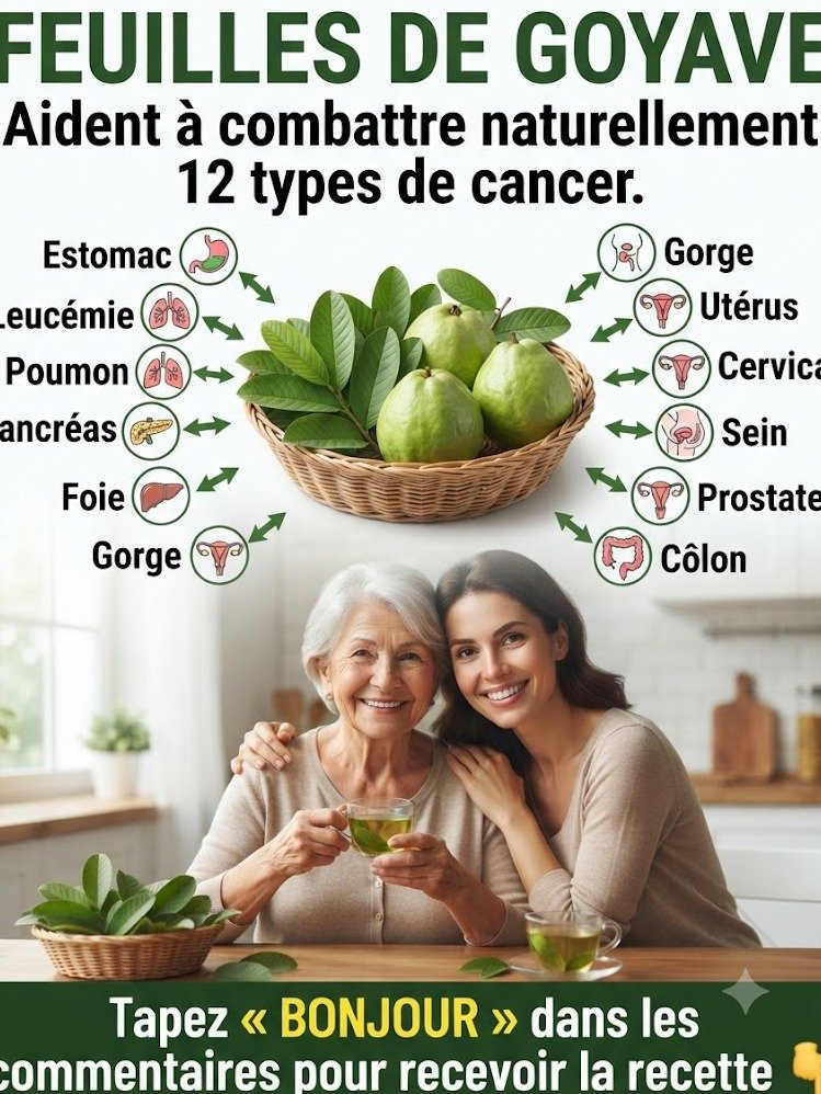 Ne jetez PLUS jamais les feuilles de goyave ! Découvrez les 5 secrets SANTÉ CHOC qui vont transformer votre corps