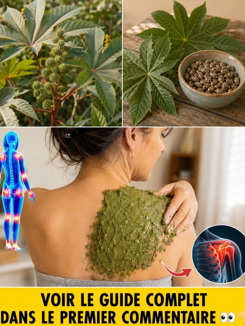 Le Secret Millénaire Révélé : Ce Cataplasme au Ricin Va Révolutionner le Confort de Vos Articulations Gonflées (J'aurais TELLEMENT aimé le savoir plus tôt !)