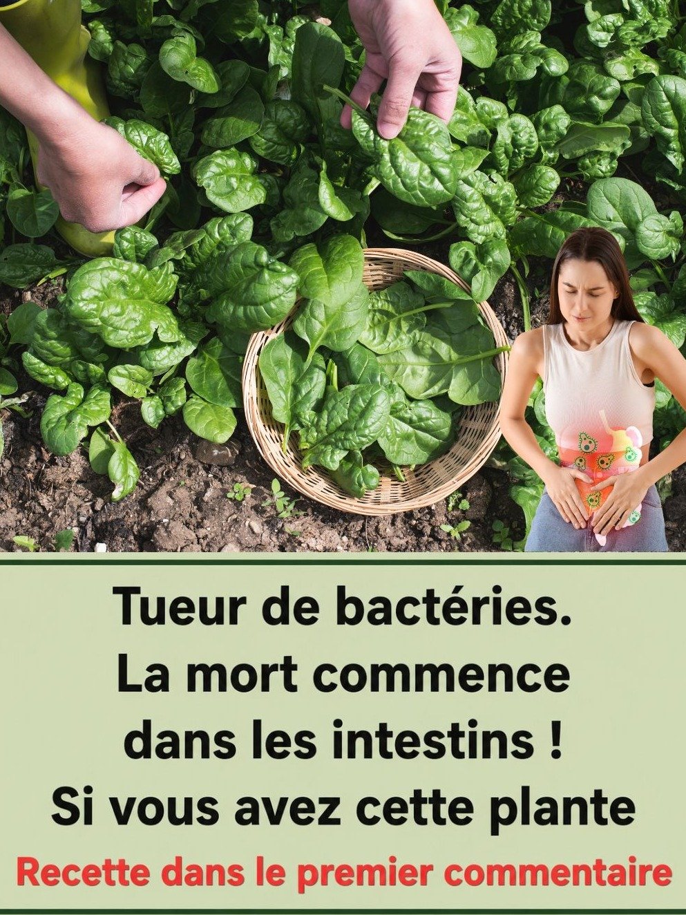 Le Secret Insoupçonné des Épinards : Révolutionnez Votre Intestin et Éliminez les Mauvaises Bactéries DÈS AUJOURD'HUI !