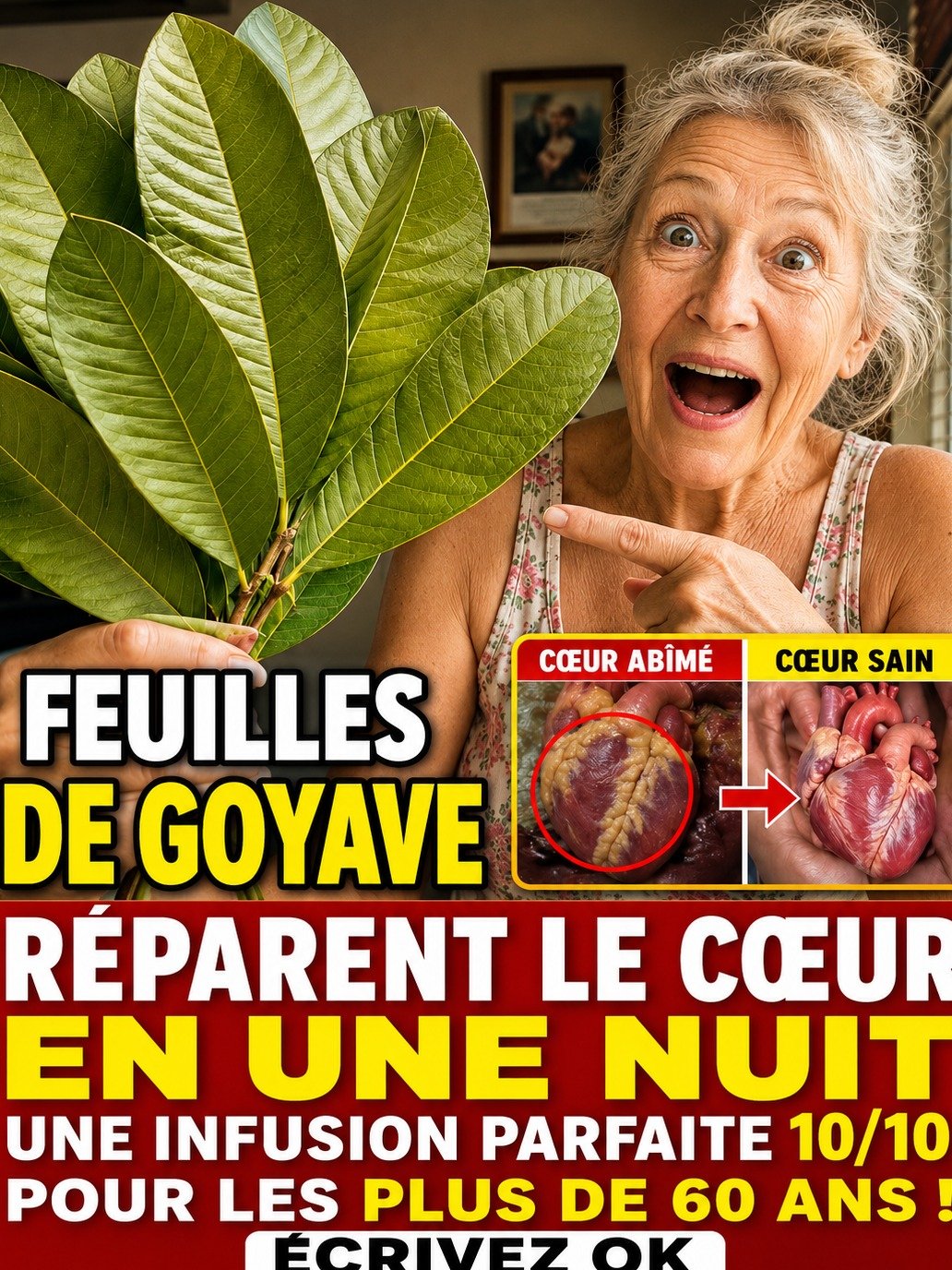 Le Secret Caché : Comment les Feuilles de Goyavier Peuvent 'Réinitialiser' Votre Cœur et Pourquoi Vous Devez Le Savoir MAINTENANT !