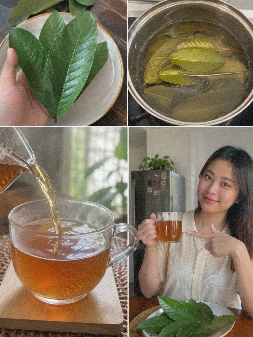 4 recettes secrètes à base de feuilles de goyave : le trésor de santé caché dans votre jardin !