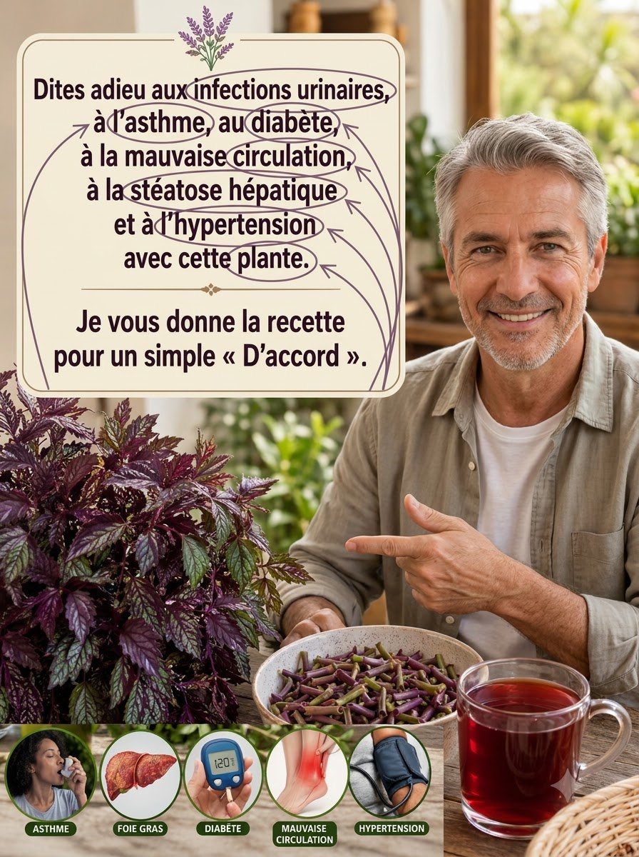 L'Incroyable Vérité sur la Plante Virale qui Promet TOUT Guérir : Ce Que Vous DEVEZ Savoir Avant Qu'il Ne Soit Trop Tard !