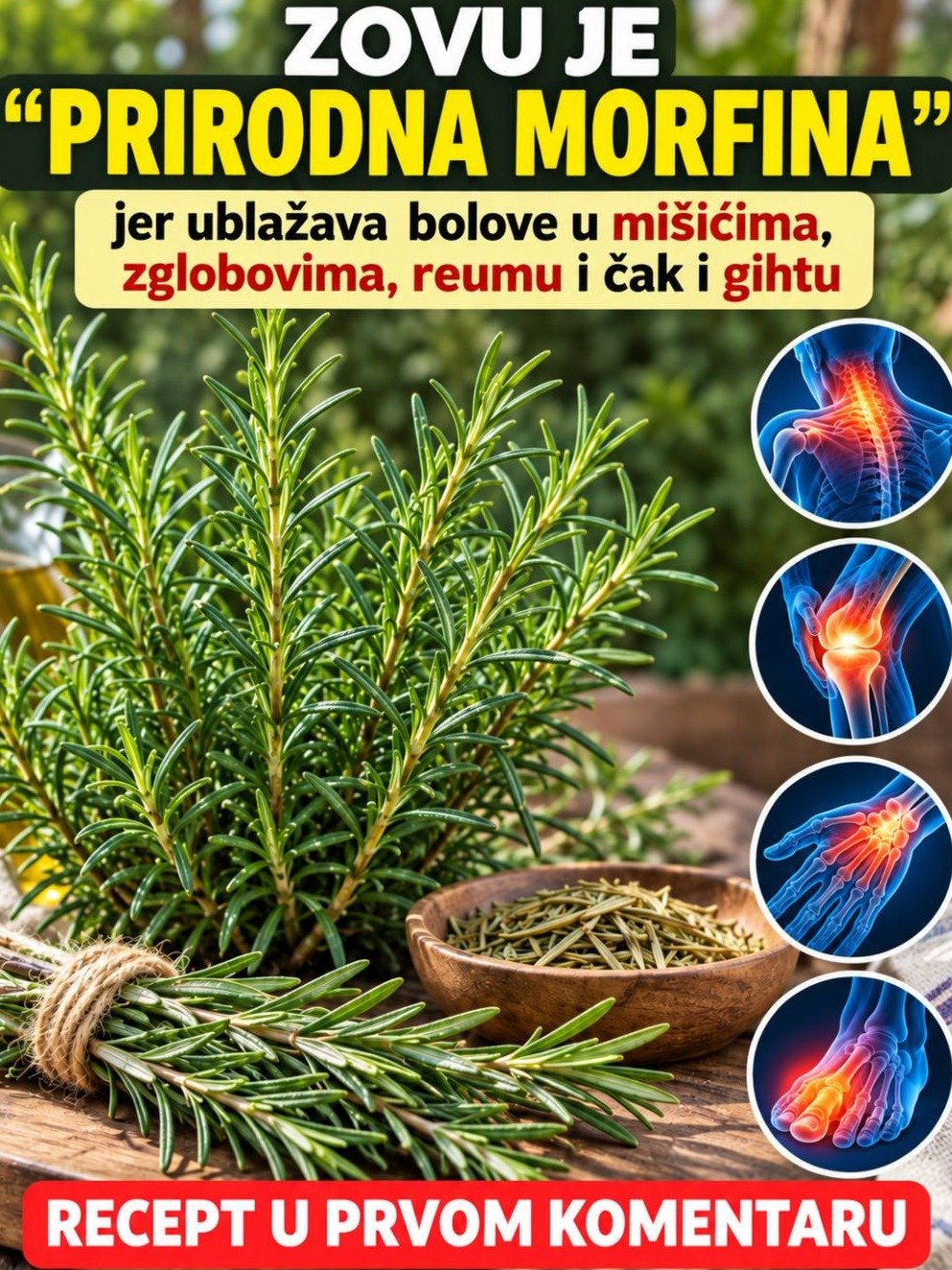 Marre des Douleurs Musculaires et Articulaires ? Cette Plante Millénaire Oubliée Va Changer Votre Vie (Recettes Incluses) !