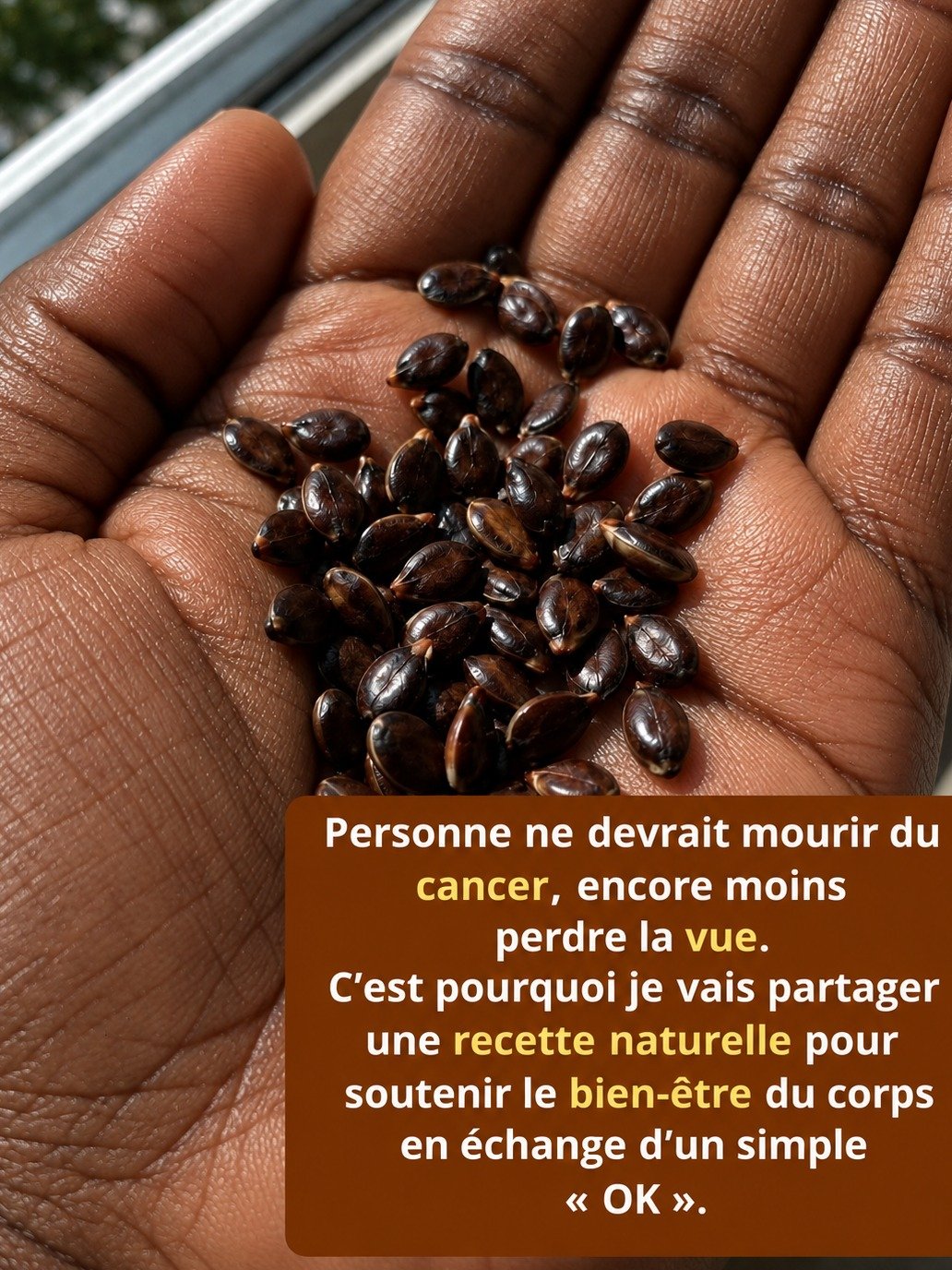 Le Secret Toxique des Pépins de Pomme : Ce Que la Science Révèle sur le Cancer et le Cyanure (À Lire Absolument !)