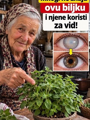 Le Vrai Pouvoir de l'Origano et des Abricots Secs pour Vos Yeux : L'Erreur CRUCIALE à Ne JAMAIS Commettre !
