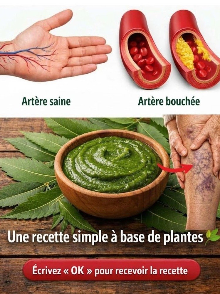 Le Secret Ancestral pour une Vitalité Incroyable : Découvrez la Feuille Que TOUT LE MONDE S'ARRACHE (Avant Qu'il Ne Soit Trop Tard) !