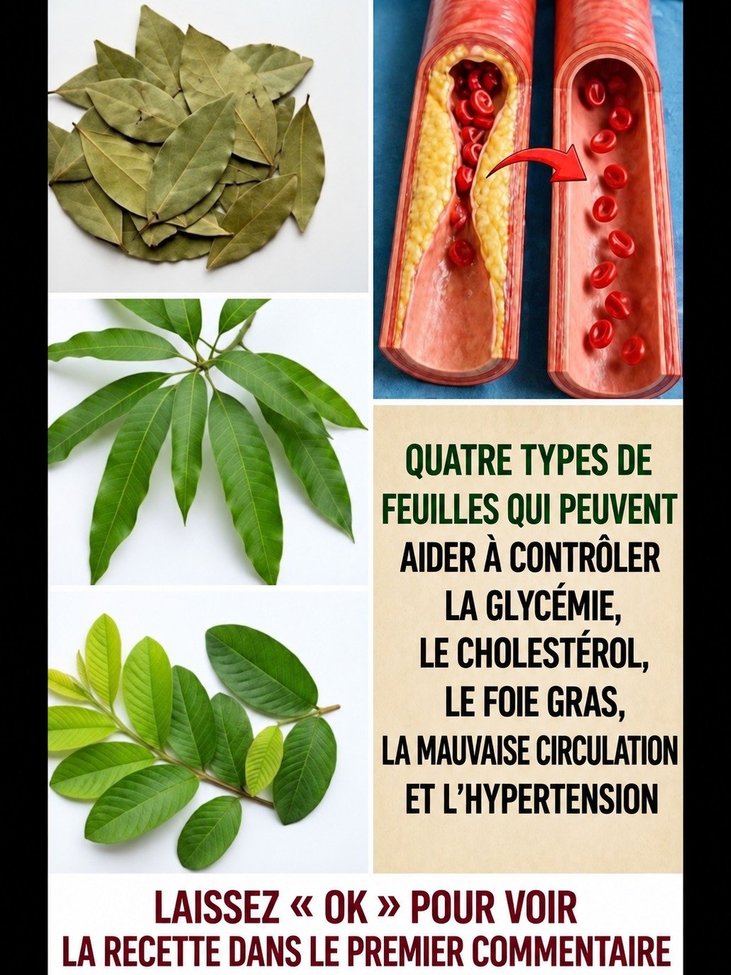 Le Secret Que Personne Ne Vous Dit : 4 Feuilles Communes Qui Vont Révolutionner Votre Santé Naturelle !