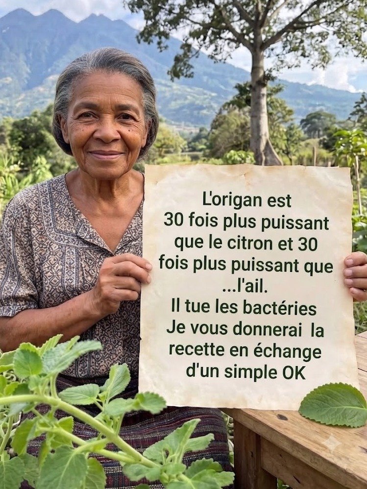 Le Secret Oublié de nos Grands-Mères : Cette Infusion 3-en-1 à l'Ail, Cannelle et Origan va Révolutionner Votre Quotidien !