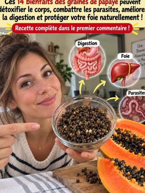 Le Secret Insoupçonné de Votre Foie et Intestin ? Ne Jetez PLUS Jamais Ces Graines de Papaye !