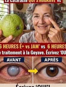 Votre Vision Floue en 6 Heures : L'Incroyable Vérité sur la Goyave que Personne Ne Vous Dit !