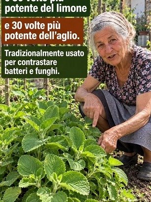 Le Secret Ancestral Révélé : Cette Boisson Magique à la Cannelle, Ail et Origan Va Transformer Votre Bien-Être Quotidien (Ne Passez Pas à Côté !)