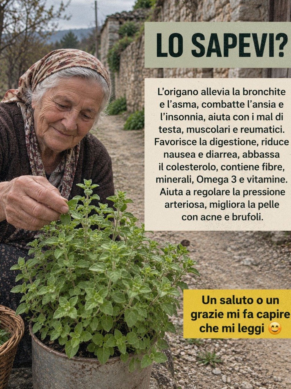 Ne Manquez Pas Ça ! L'Origan Cache Un Pouvoir Insoupçonné pour Votre Santé (Recettes Incluses)