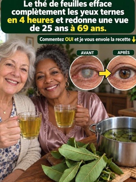 Vision Floue Après 60 Ans ? Ne Tombez PAS dans ce Piège Viral (Ce que les Tisanes NE peuvent PAS faire pour vos yeux)