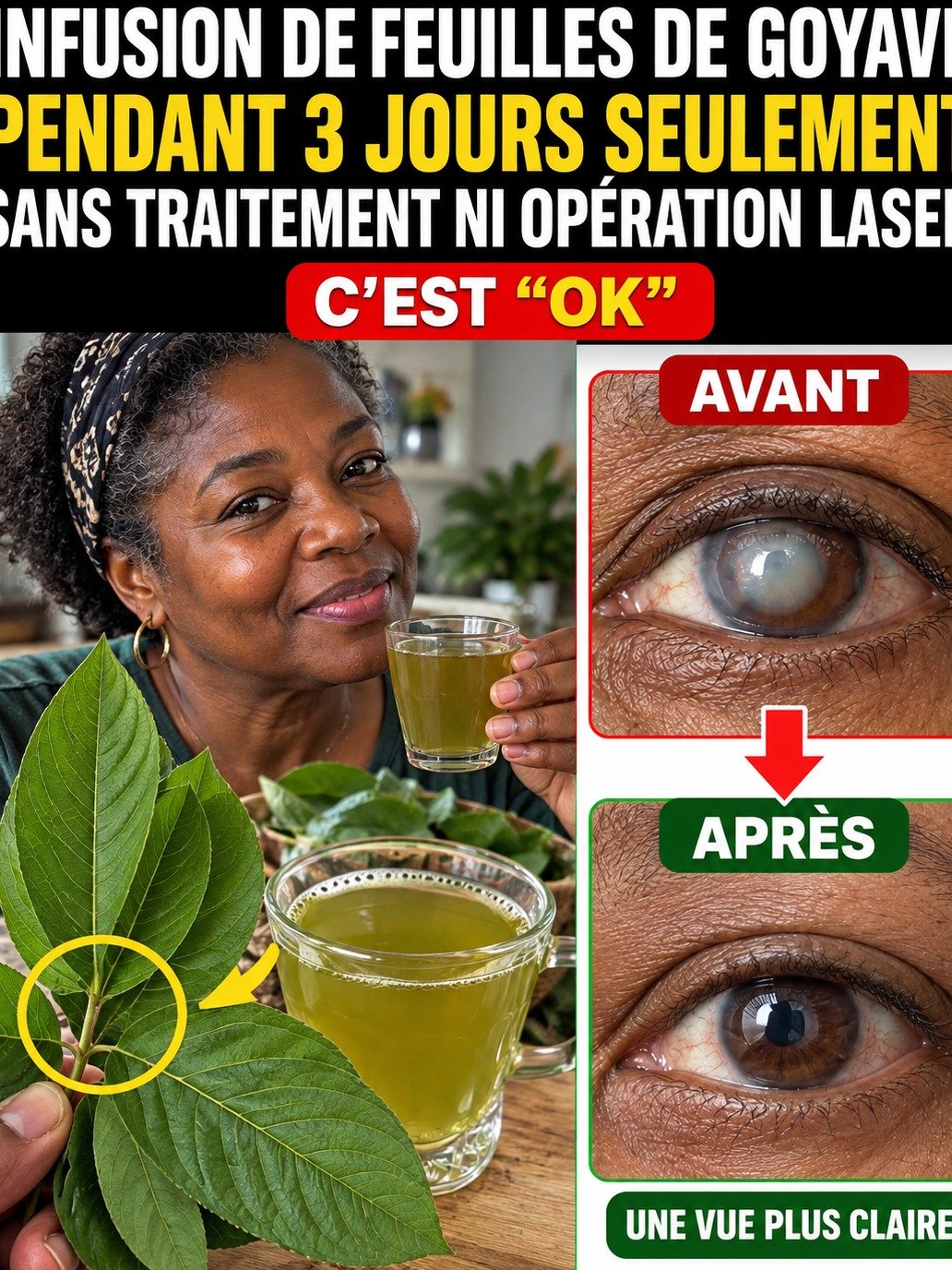 Alerte Vision: En 3 Jours, Votre Vue Pourrait Basculer... Découvrez Cette Plante Secrète Avant Qu'il Ne Soit Trop Tard!
