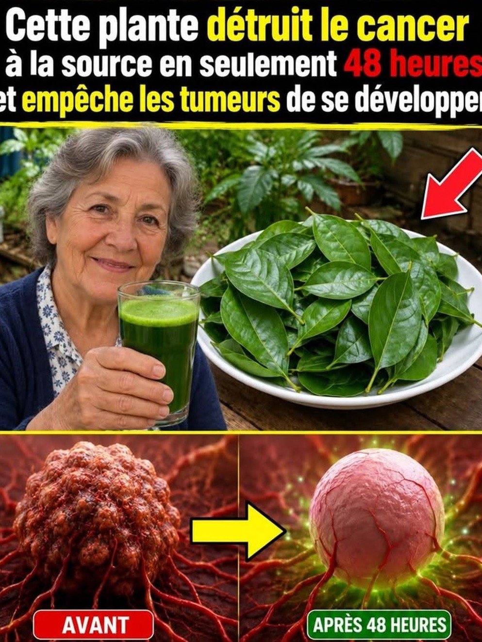Corossol et Cancer : La Vérité Choc des 48 Heures Démystifiée ! Ce Que Votre Corps Stressé Cache VRAIMENT