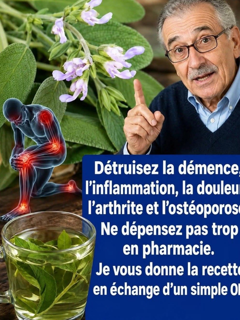 La Sauge : Remède Miracle ou DANGER Caché ? Ce Que Personne Ne Vous Dit sur Cette Plante Puissante !