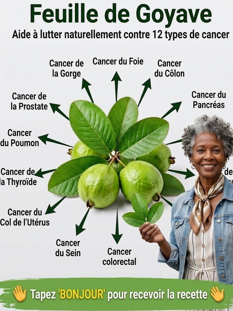 Le Secret Millénaire pour une Digestion Révolutionnaire : La Boisson Oubliée qui Transformera Votre Ventre et Votre Énergie !