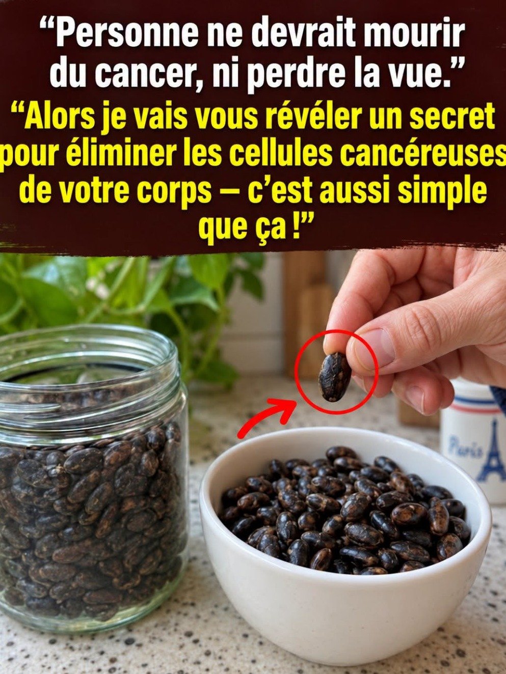 ALERTE ROUGE : Le secret MORTEL caché dans vos pommes que PERSONNE ne vous dit (et ce n'est PAS un remède contre le cancer) !