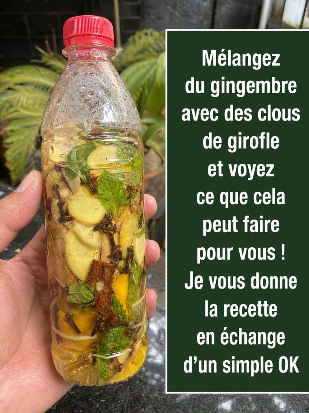 Le Duo Choc Clou de Girofle & Gingembre : La Vérité Explosive sur le Diabète, le Foie Gras et les Douleurs Articulaires (Ce Que Personne Ne Vous Dit Vraiment)