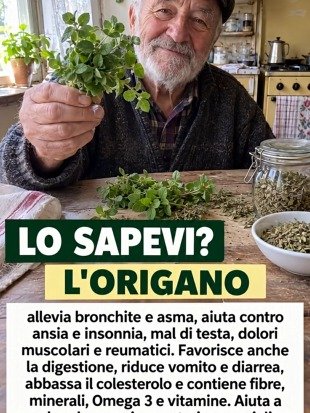 Le Secret Oublié : 5 Bienfaits Incroyables du Thé à l'Origan Qui Vont Révolutionner Votre Santé !