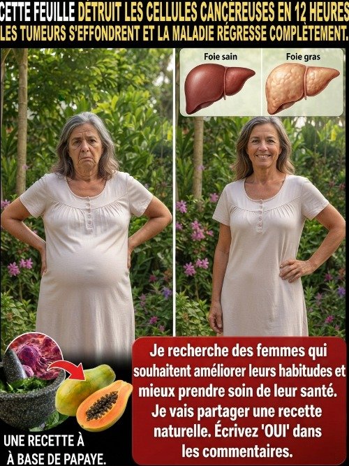 Le Secret CHOC que PERSONNE ne vous dit sur les Graines de Papaye : Détoxifiez Votre Foie et Éliminez la Graisse Abdominale en 7 Jours !