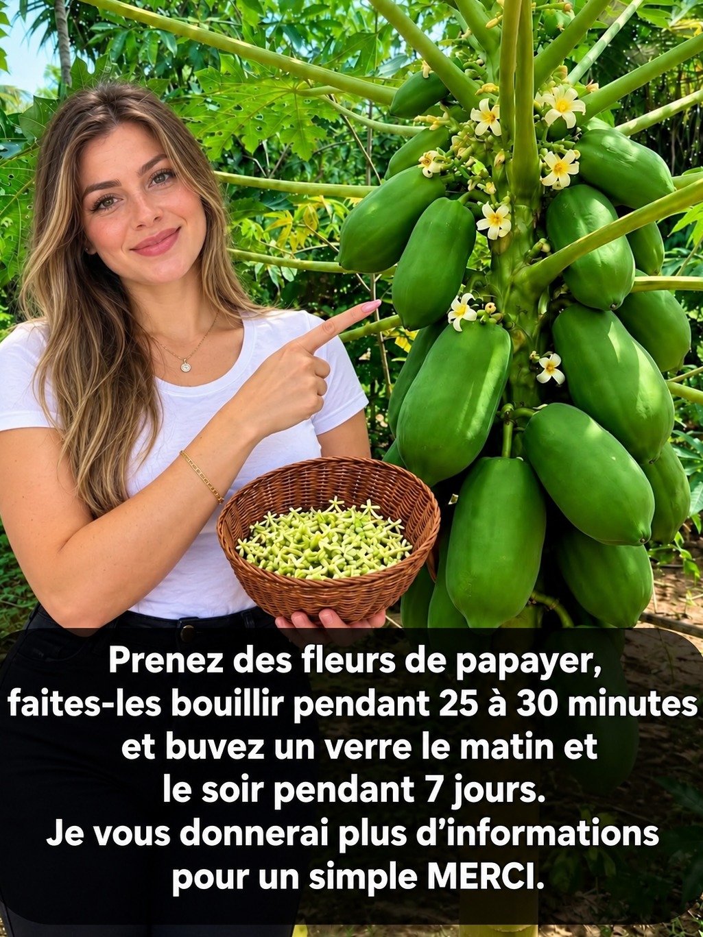 Ne Jetez Plus Jamais les Fleurs de Papayer ! Découvrez Leurs Pouvoirs Cachés pour une Santé Éclatante (Recette Incluse)