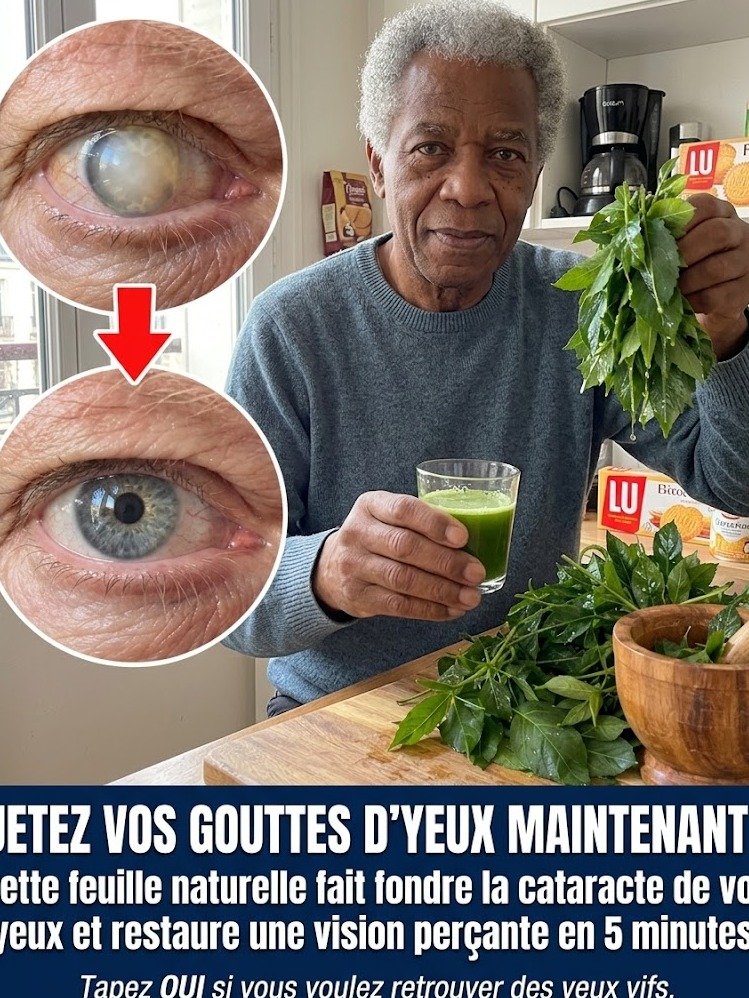 Marre des Yeux Qui Brûlent Devant l'Écran ? Cette Graine Oubliée est le Remède Naturel Ultime que Vous Devez Connaître !