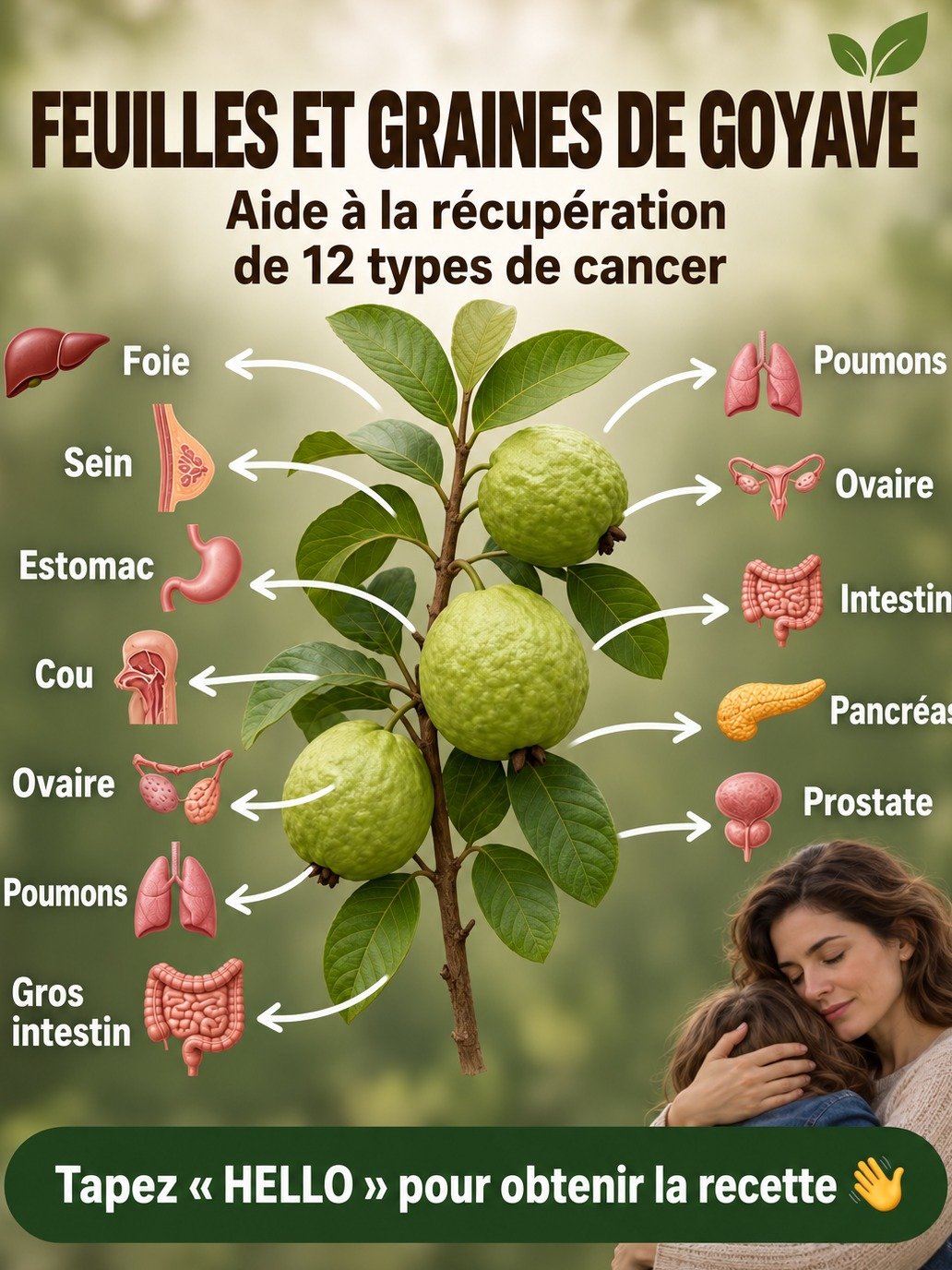 Le Secret Méconnu de Votre Santé : 5 Raisons Choc d'Adopter la Tisane de Feuilles de Goyavier DÈS AUJOURD'HUI !