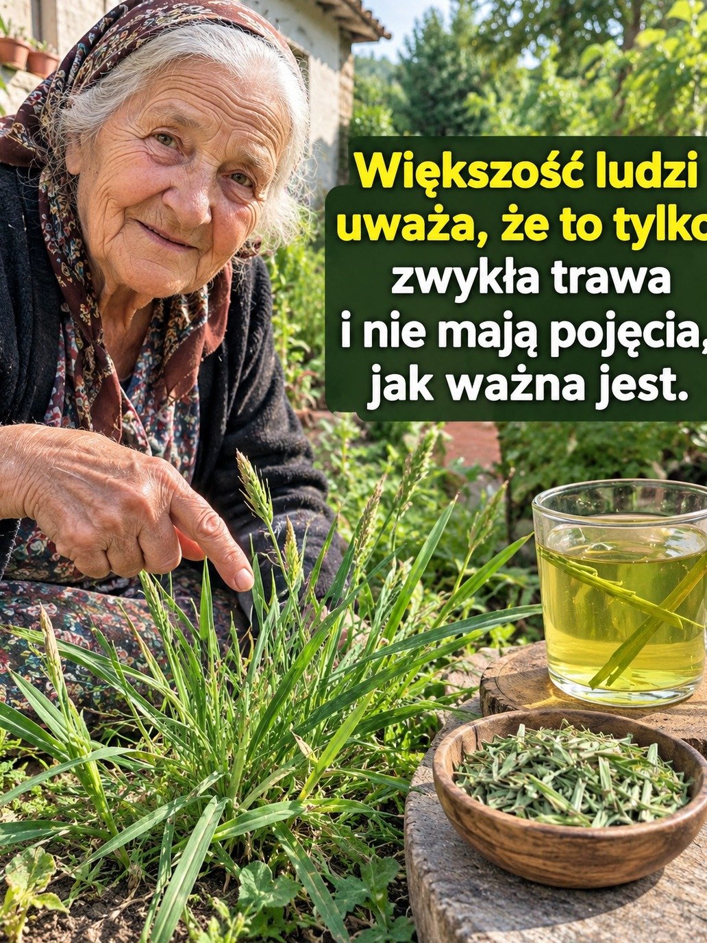 Cette "Mauvaise Herbe" Que Vous Ignorez Totalement Cache 15 Secrets de Santé Époustouflants ! Ne la Jetez Plus Jamais !