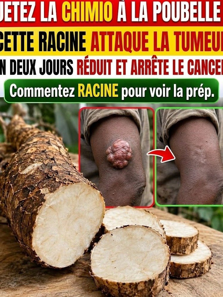 Le Manioc Cru : La Racine "Anti-Cancer" qui Fait le Buzz... Mais Attention, Voici la Dure Vérité que Personne ne Vous Dit !