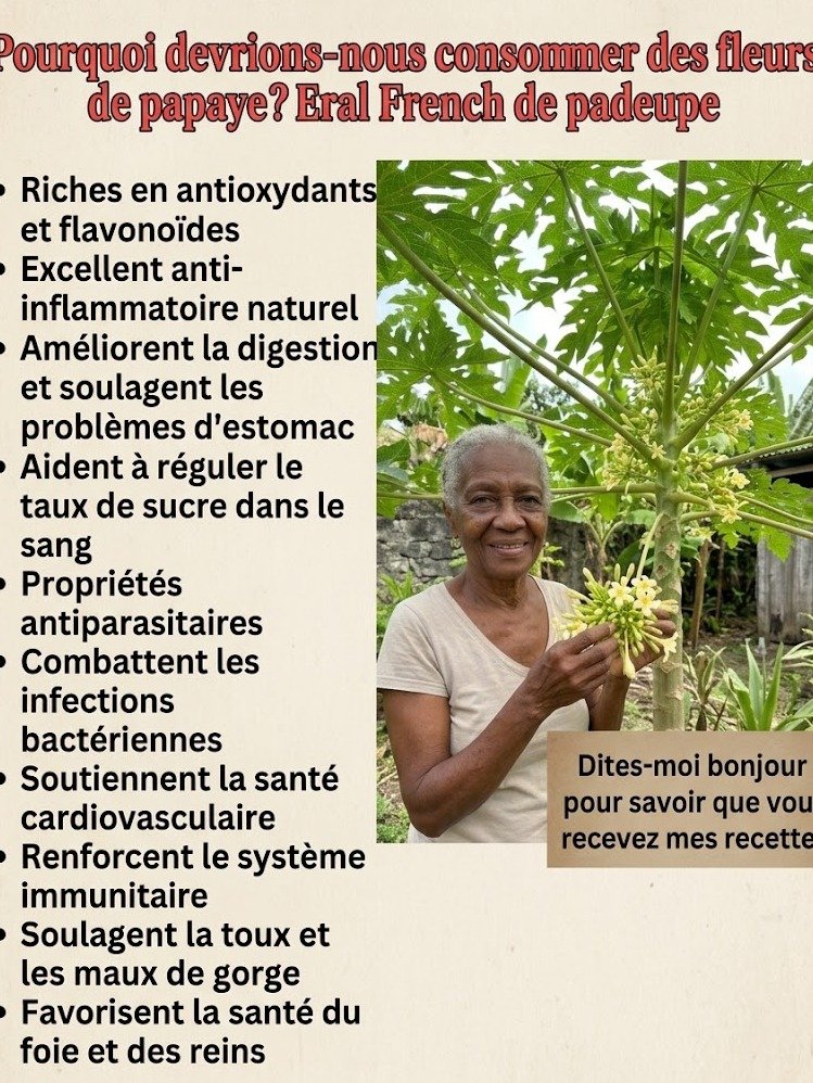 Le Secret Oublié : 10 Bienfaits Étonnants des Fleurs de Papaye Que Personne Ne Vous Dit (et Comment en Profiter MAINTENANT !)